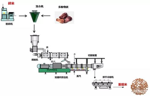 慢消化淀粉健康食品加工技術(shù)開發(fā)與研究成果