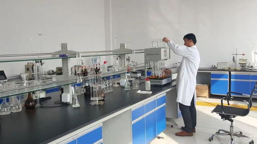 東營港經(jīng)濟(jì)開發(fā)區(qū) 以企業(yè)技術(shù)改造為抓手，驅(qū)動(dòng)產(chǎn)業(yè)轉(zhuǎn)型升級(jí)與技術(shù)開發(fā)新突破